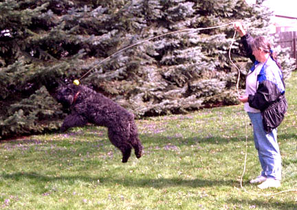 Sam Jumping for Ball