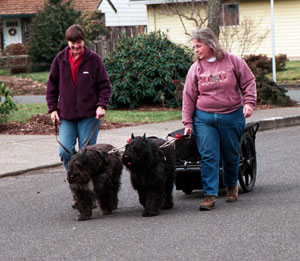 Sam and Ms. B Pull Cart