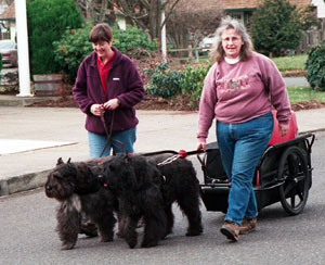 Sue and Jan walk