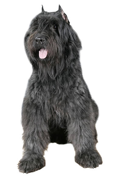 Frank as a young boy