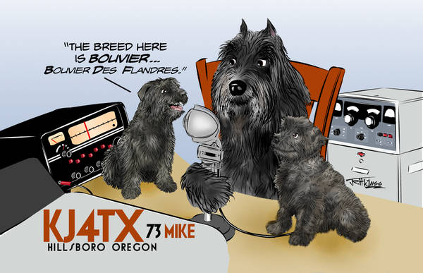 Bouvier Drawing for QSL Card