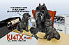 KJ4TX_REV_QSL_PRINTER_300dpi_FullBled.jpg