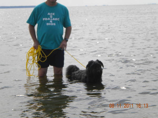 Scarlet's beach week 2011